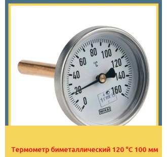 Термометр биметаллический 120 °С 100 мм в Баткене